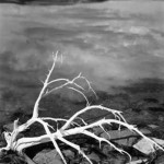 Ansel Adams