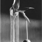 Andre Kertesz