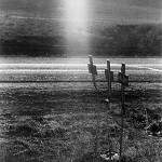Robert Frank
