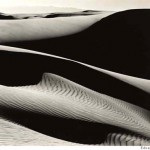Edward Weston black and white photograph