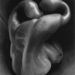 Edward Weston, Black & White Photograph, Pepper, 1930