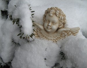 2.26.2010alt