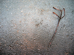 Sticks1