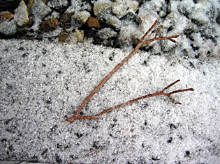 Sticks2
