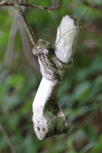 5.31bone.2010