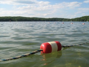 7.2swim.2010