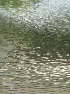 8.12.2010H2Oreflections