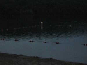 8.16darkmorn.2010