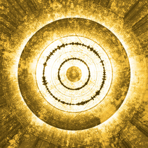 Aric Attas, Symbiotic {American Elm – Autumn}, 2025